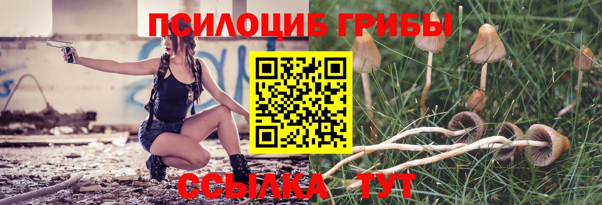 Псилоцибиновые грибы GOLDEN TEACHER Казань